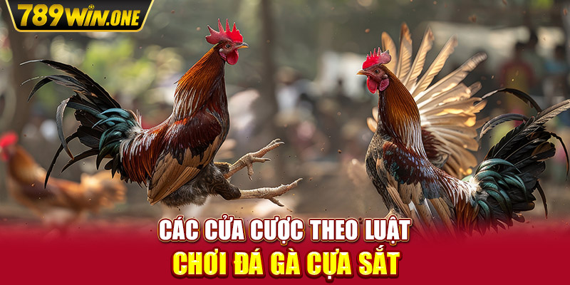 Các cửa cược theo luật chơi đá gà cựa sắt