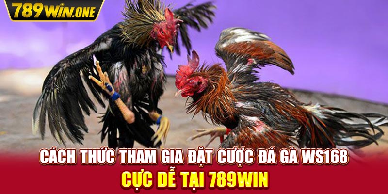 Cách thức tham gia đặt cược đá gà Ws168 cực dễ tại 789Win