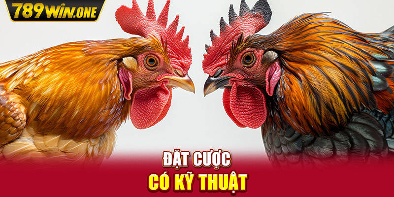 Đặt cược có kỹ thuật