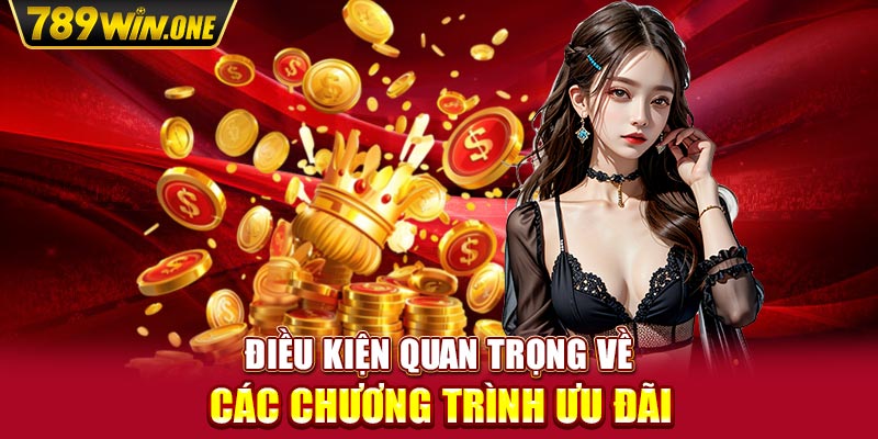 Điều kiện quan trọng về các chương trình ưu đãi