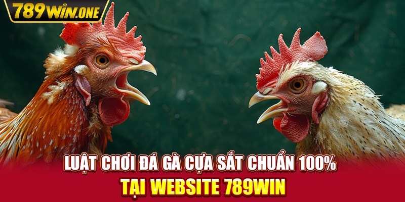 Luật Chơi Đá Gà Cựa Sắt Chuẩn 100% Tại Website 789win