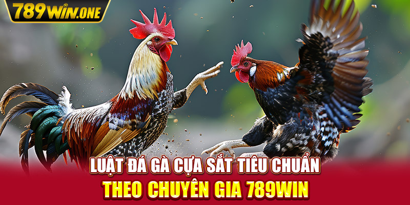 Luật đá gà cựa sắt tiêu chuẩn theo chuyên gia 789win