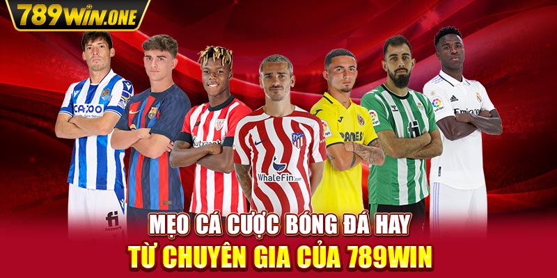 Mẹo Cá Cược Bóng Đá Hay Từ Chuyên Gia Của 789win