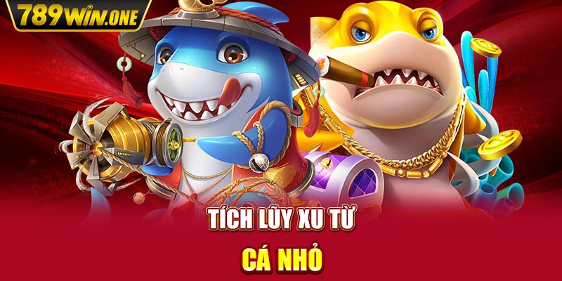 Tích lũy xu từ cá nhỏ