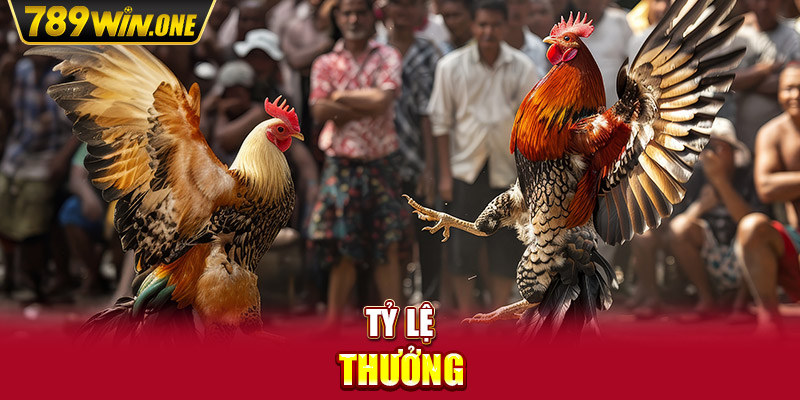 Tỷ lệ thưởng