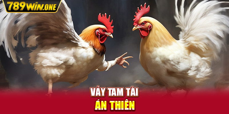 Vảy tam tài án thiên