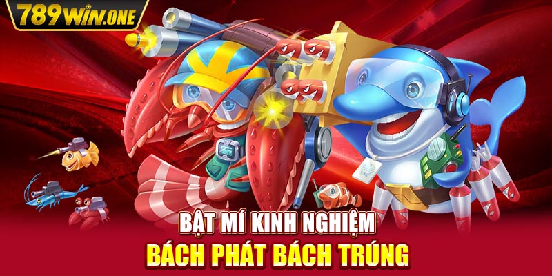 Bật mí kinh nghiệm bách phát bách trúng 